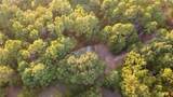 205 County Road 2880 - Photo 22