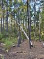 205 County Road 2880 - Photo 49