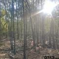 205 County Road 2880 - Photo 87