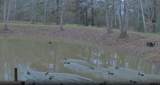 9933 Fm 227 - Photo 44