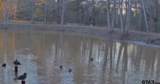 9933 Fm 227 - Photo 45