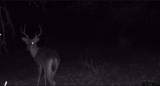 9933 Fm 227 - Photo 46