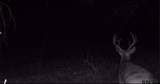 9933 Fm 227 - Photo 47