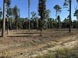 16393 Hwy 31 - Photo 25