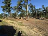 16393 Hwy 31 - Photo 27