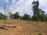 16393 Hwy 31 - Photo 45