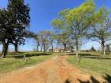 3771 Cr 1880 - Photo 9