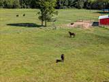 5989 Hwy. 259 - Photo 38