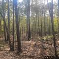 205 County Road 2880 - Photo 19