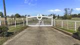 7762 Highway 110 - Photo 48