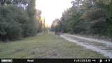 16661 Pr 2360 - Photo 46