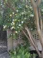 287 North Bay Drive - Photo 33