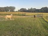 6466 County Road 2265 - Photo 44