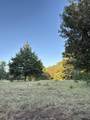205 County Road 2880 - Photo 69