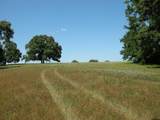 21004 Fm 16 W - Photo 32