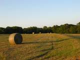 21004 Fm 16 W - Photo 33