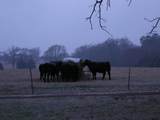 21004 Fm 16 W - Photo 35