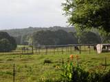 21004 Fm 16 W - Photo 38