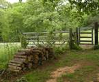 21004 Fm 16 W - Photo 39