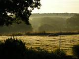 21004 Fm 16 W - Photo 41