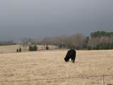 21004 Fm 16 W - Photo 42