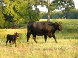 21004 Fm 16 W - Photo 43