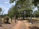277 Cr 2958 - Photo 4