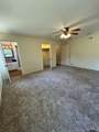 919 Wilma - Photo 19