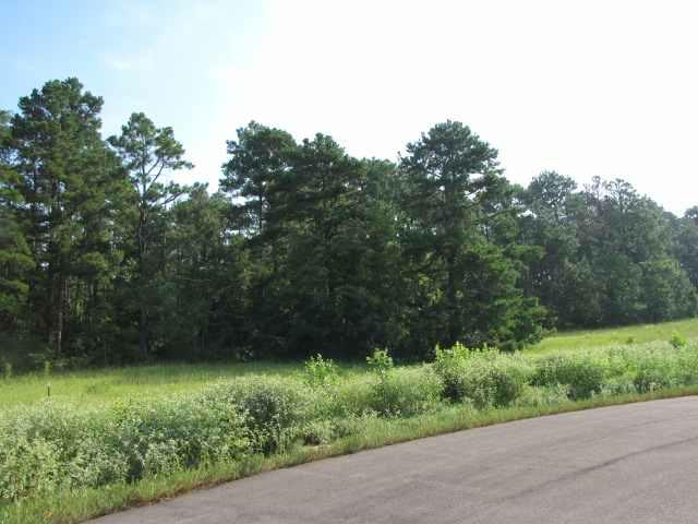 Lot 2, Blk 1 Pine Ridge Rd. - Photo 1