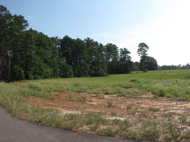 Lot1,Blk 2 Loblolly Lane - Photo 1