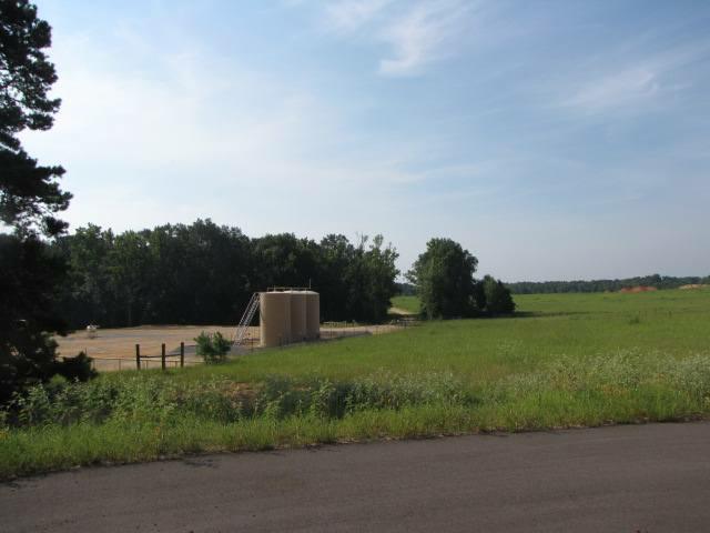 Lt 2 & 3 Blk 2 Loblolly Lane - Photo 1