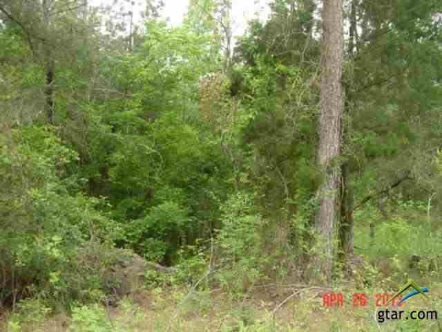 TBD Holly Road 34 Acres - Photo 1