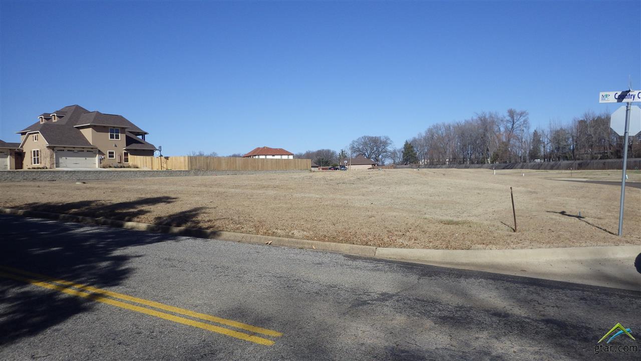 Lot 21 Country Club Drive - Photo 1