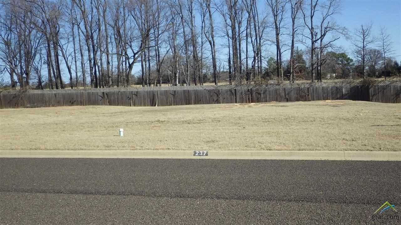 Lot 11 Kathryn Ct - Photo 1