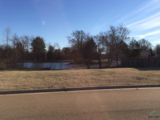 Lot 6 Kingfisher Lane - Photo 1