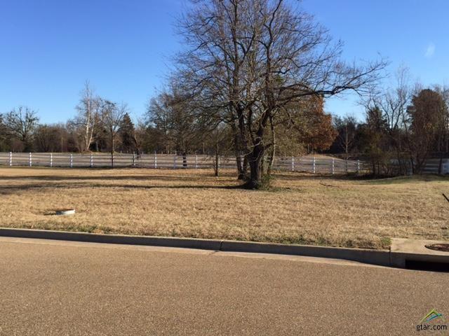 Lot 7 Kingfisher Lane - Photo 1
