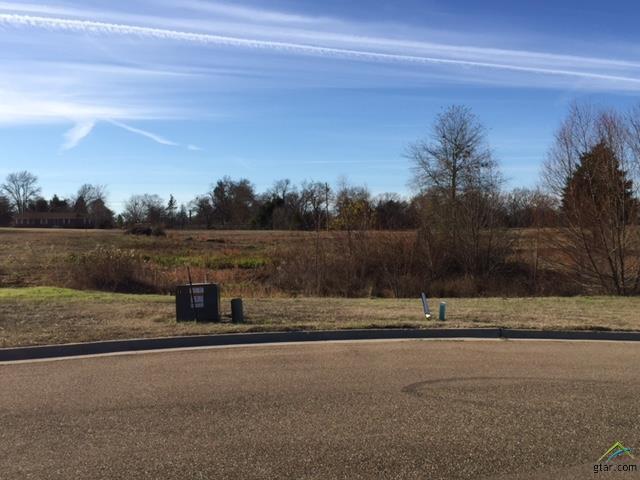 Lot 22 Blue Heron Circle - Photo 1