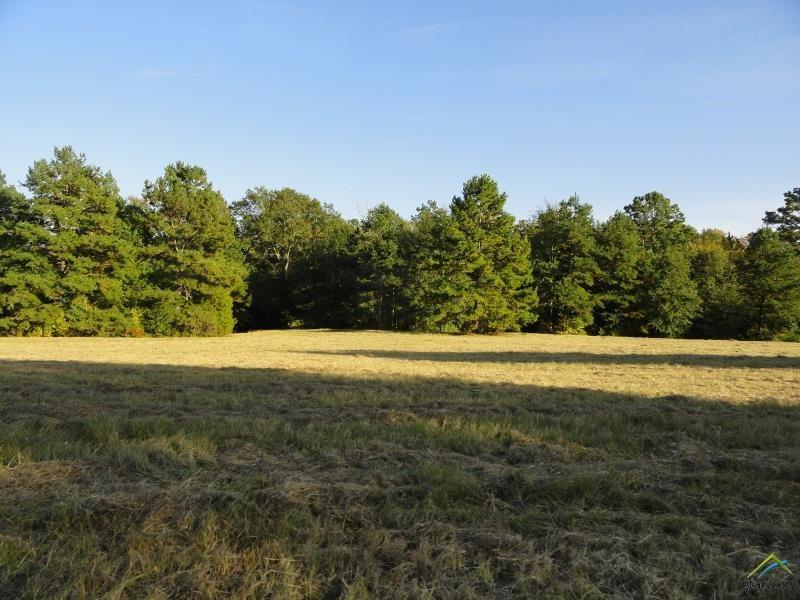 TBD Cr 4203 - Photo 1