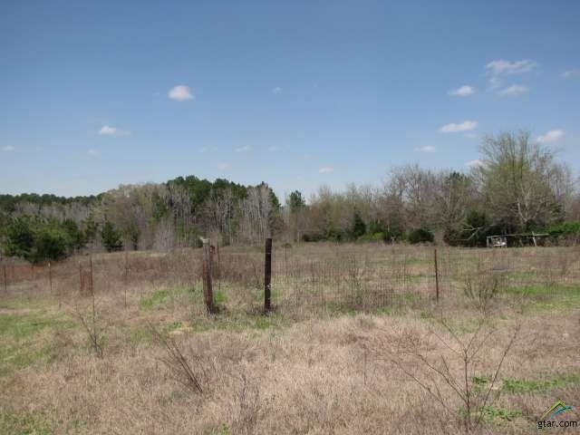 17905 Cr 295 - Photo 1