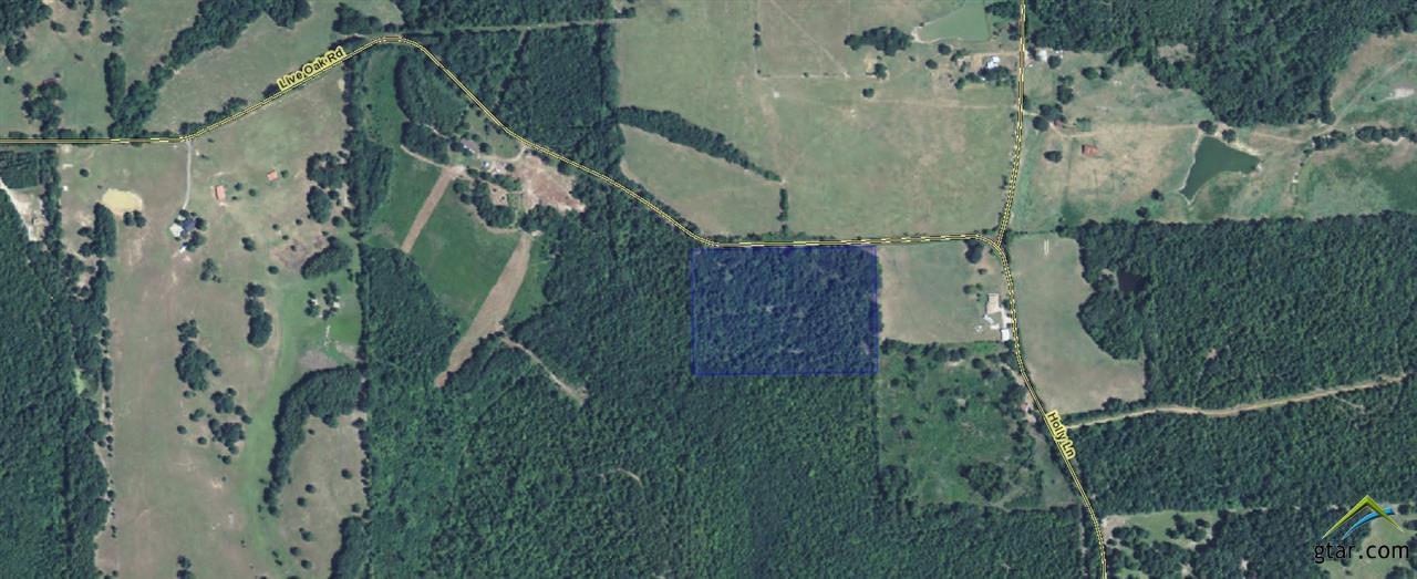 6899 S. Live Oak Rd - Photo 1