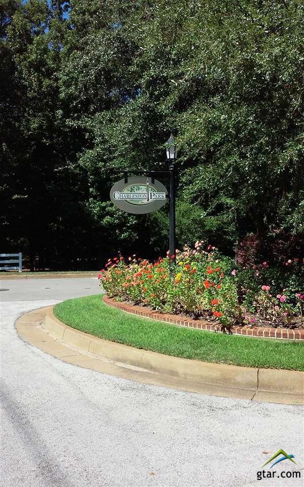 4037 Charleston Park - Photo 1