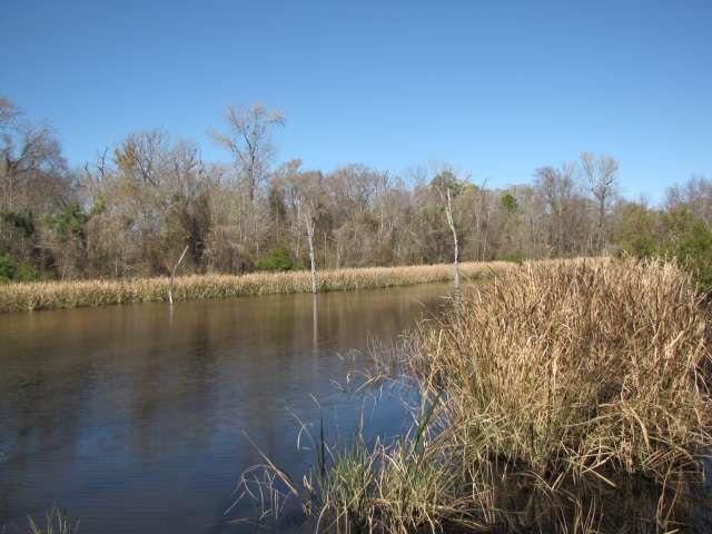000 Fm 344 - Photo 1