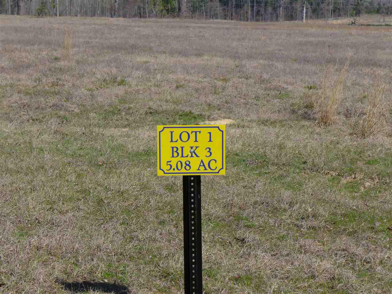TBD Clydesdale Ct. Lot 1, Blk 3 - Photo 1