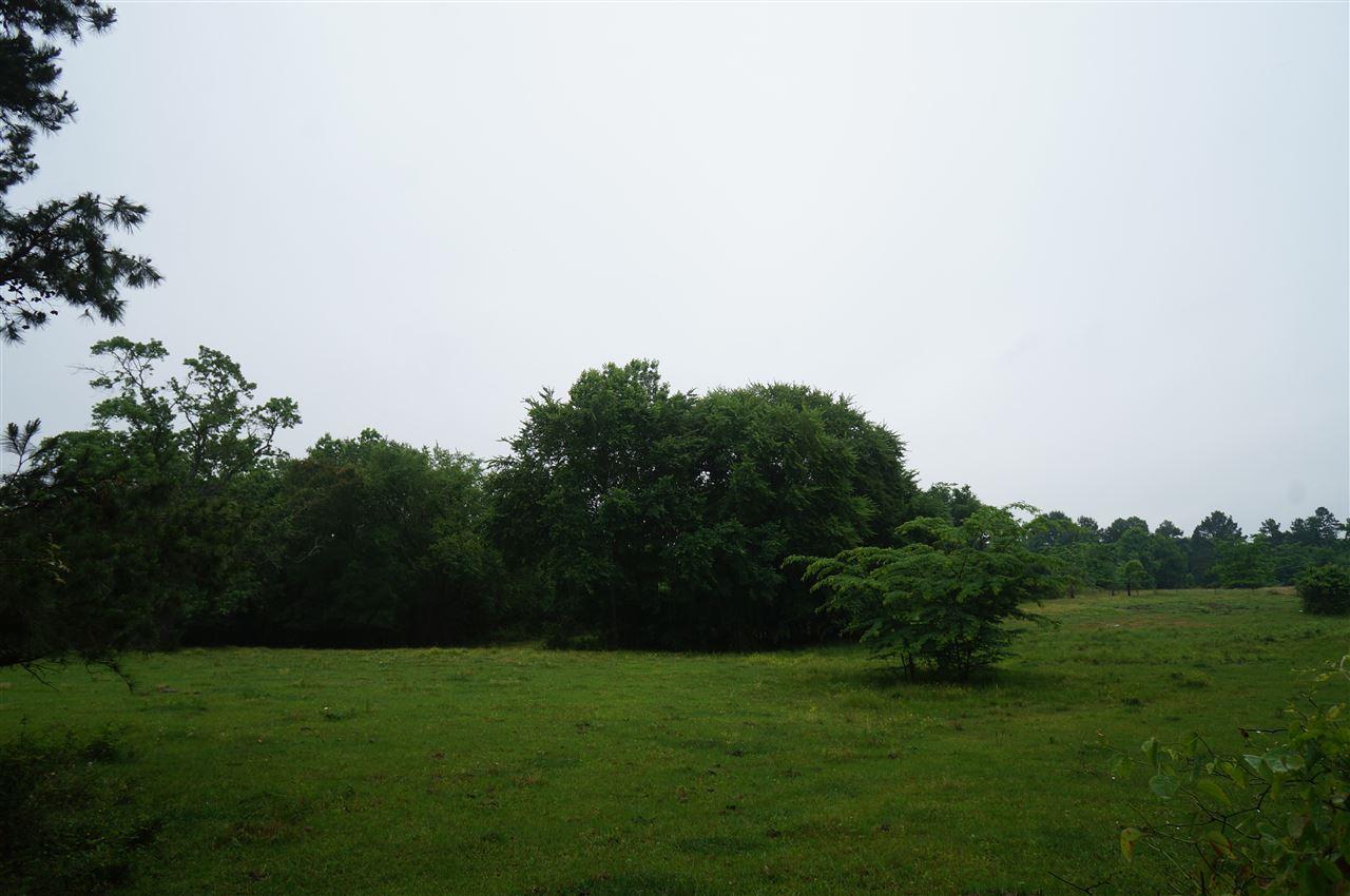 Cr 1309 Tr #3 - Photo 1