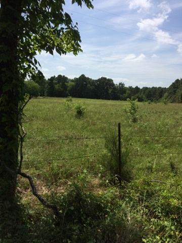 11 Acres Cr 3131 - Photo 1