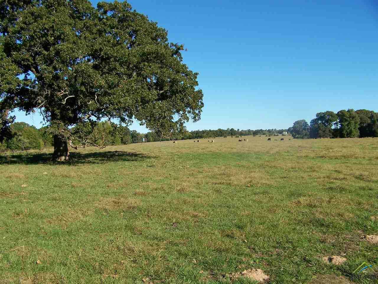 Cr 3901 - Photo 1