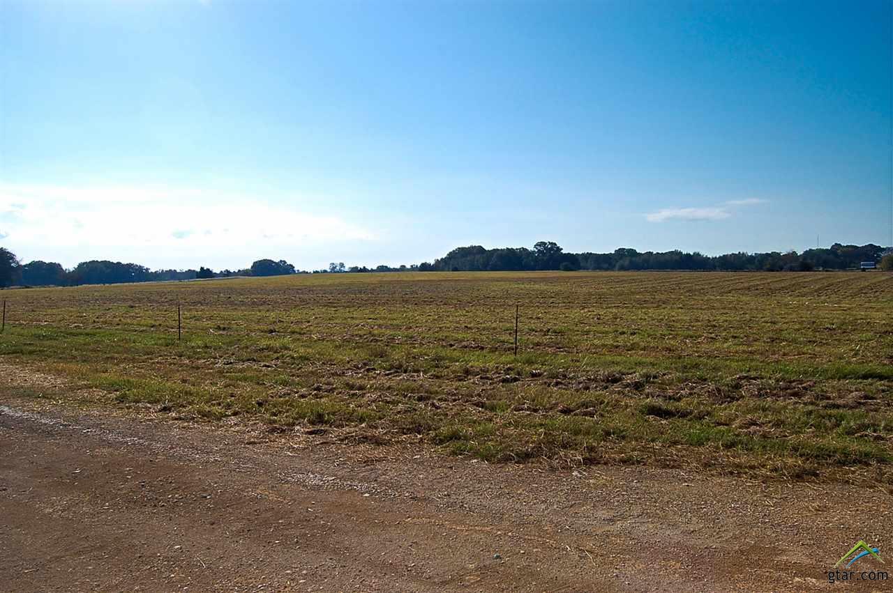 TBD Hwy 271 - Photo 1