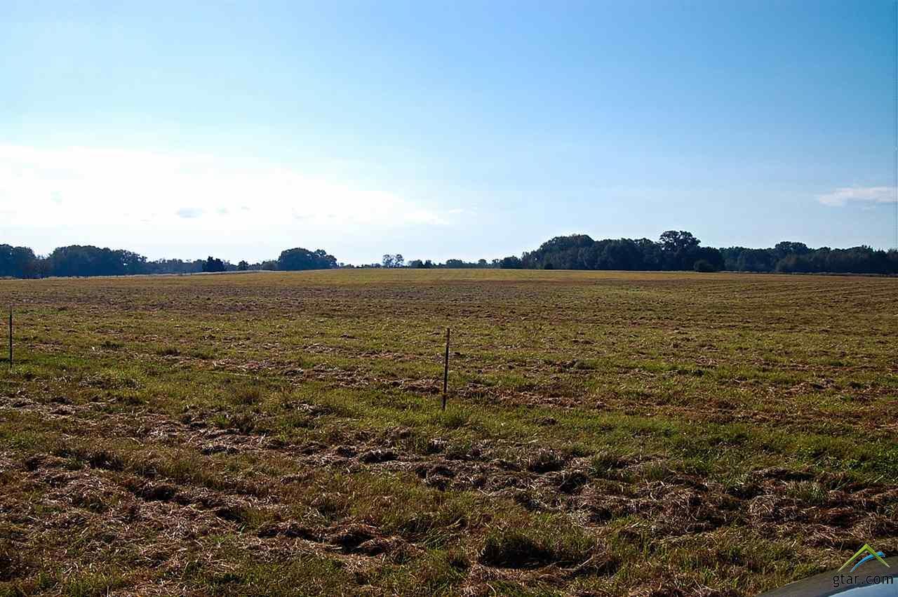 TBD Hwy 271 N - Photo 1