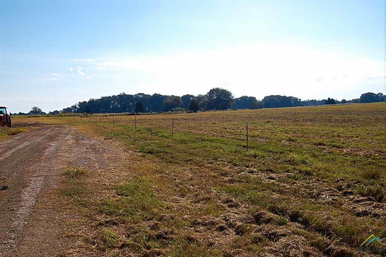 TBD Hwy 271 N - Photo 1