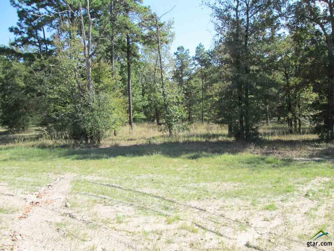 Lot 22 Willow Creek Ranch Rd - Photo 1
